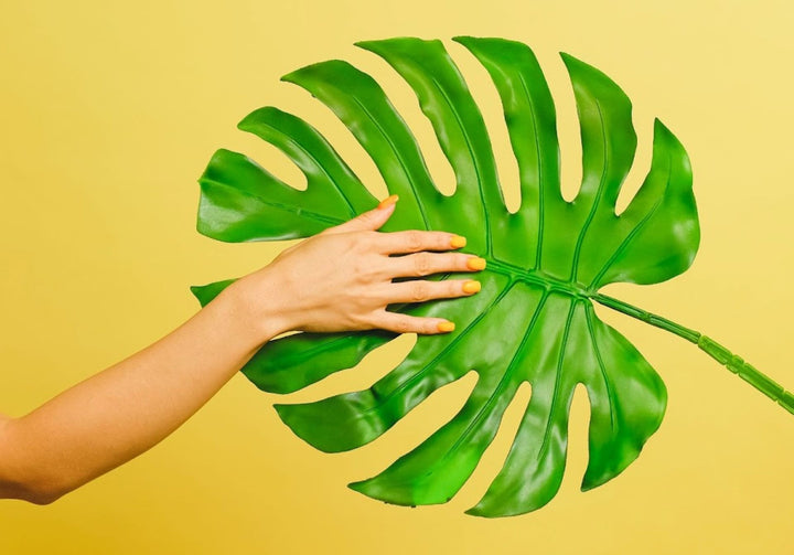 A person's hand holding a large natural non-toxic green leaf against a yellow-orange background.